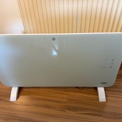 Electric heater (you can connect to your phone app and turn on or off when not at home)