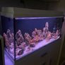 Malawi fish tank custom made (without fish and stand) Image 8
