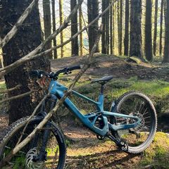 Lapierre spicy cf 7.9