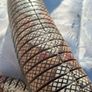 1970's  Indigenous Chilean 60 Inch Articulated Wooden Snake Image 6