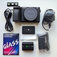 Sony Alpha a6600 Camera Body (24.2MP APS-C)