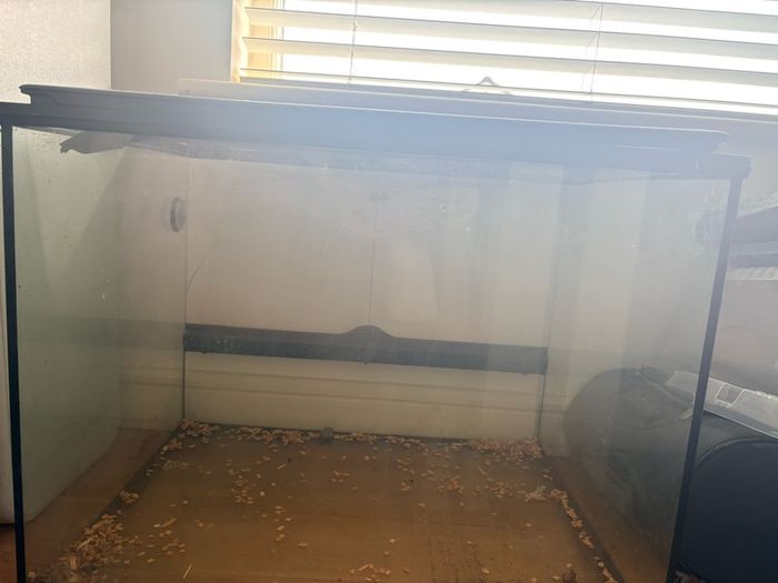 Lizard tank