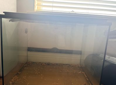Lizard tank