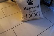 new cushion for doggy