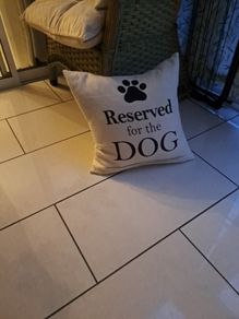 new cushion for doggy