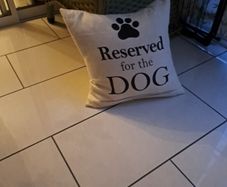 new cushion for doggy