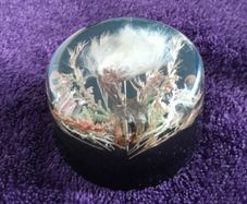 Lucite c.60s - Paperweight