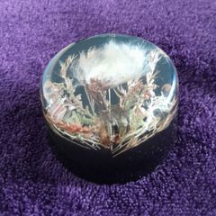 Lucite c.60s - Paperweight