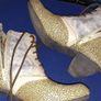 Pair of Ladies Boots Image 2