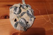 fish ornament