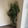 Artificial Plants Image 2
