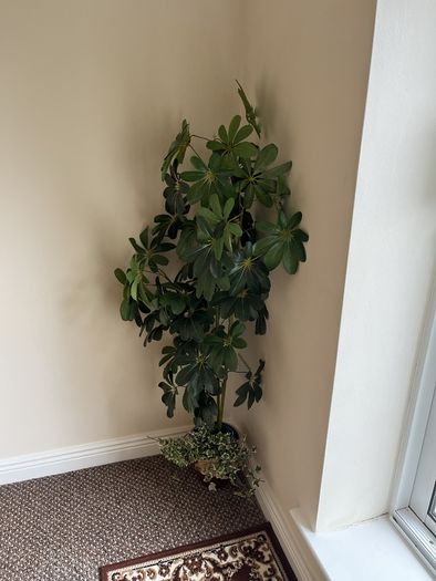 Artificial Plants