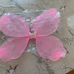 Fairy wings