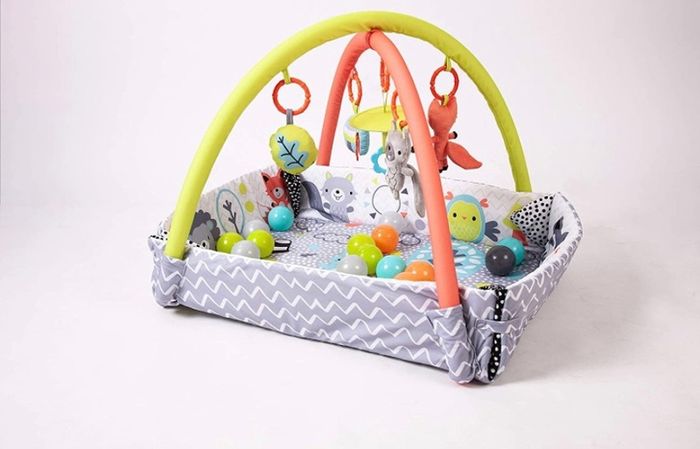 Baby Peppermint Trail Play Gym (FREE POSTAGE)