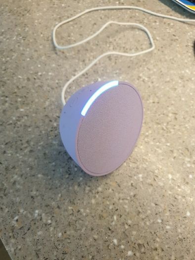 Amazon alexa smart speaker