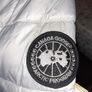 Canada Goose Image 5