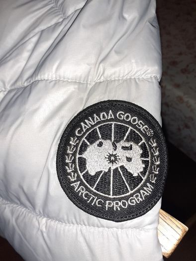 Canada Goose