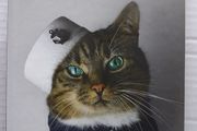 Cat Couture