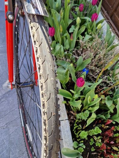 oakland bike
