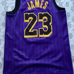Lebron James Lakers jersey