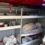 Van Image 4