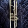 trumpet Getzen eterna Image 3