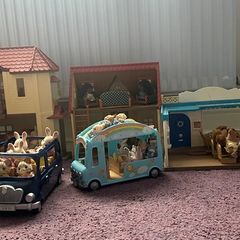 Sylvanian Families collection
