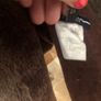 Escada Sports Ladies Lambskin Reversible Jacket Image 5