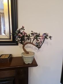 Bonsai