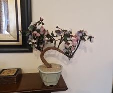 Bonsai