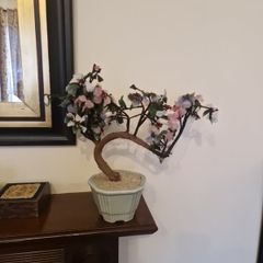 Bonsai