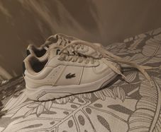 boys Lacoste shoes