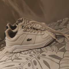 boys Lacoste shoes