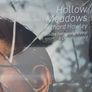 Richard Hawley , Hollow Meadows Double Heavyweight Vinyl 2019 release Sealed Image 4