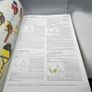 Handbook of the Birds of the World Volume 6 -Mousebirds-Hornbills Lynx Ed 2001 Image 10