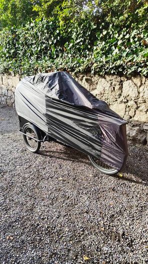Electric Cargo Bike