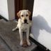 Bailey200