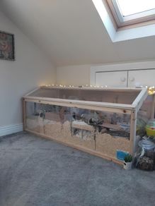 Hamster Enclosure