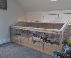 Hamster Enclosure
