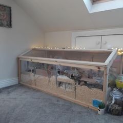 Hamster Enclosure