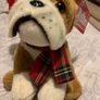 Bulldog Teddy Image 2