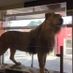 Jay0852
