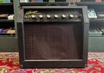 Kalamazoo Reverb 12 Combo 1960's