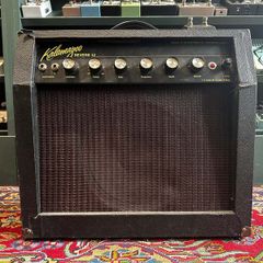 Kalamazoo Reverb 12 Combo 1960's