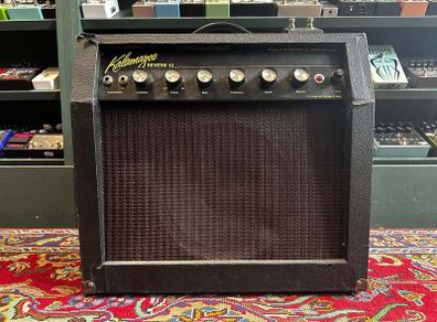 Kalamazoo Reverb 12 Combo 1960's