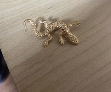 1980's Gold Plated Gecko Brooch
