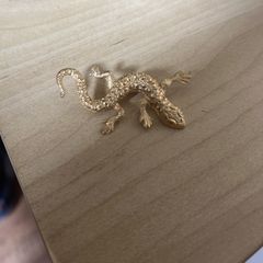 1980's Gold Plated Gecko Brooch