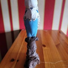 budgie ornament