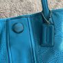 Coach Image 2