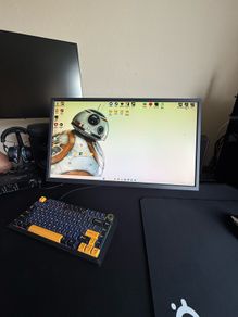 Benq XL2456k 240hz Dyac